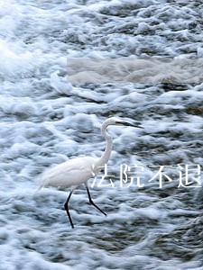 法院不退赃款被害人如何主张 法院不退赃款被害人如何主张
