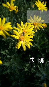 法院与信用社工作座谈会上 法院与信用社工作座谈会上