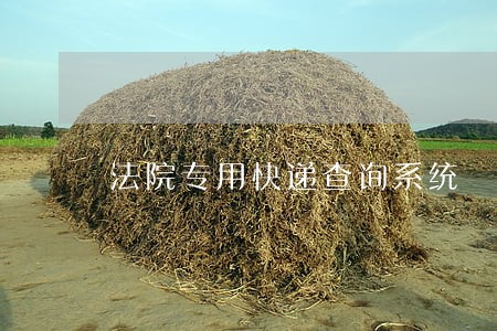 法院专用快递查询系统 法院专用快递查询系统