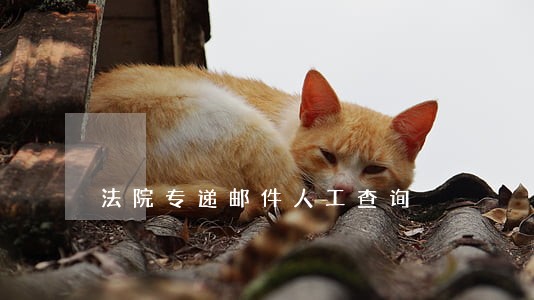 法院专递邮件人工查询