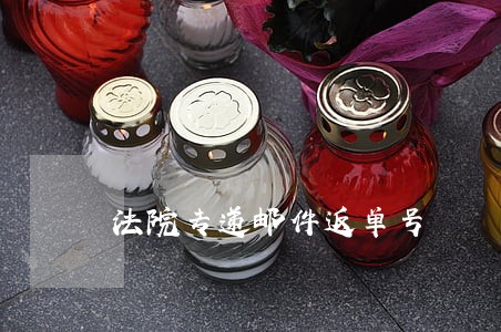 法院专递邮件返单号 法院专递邮件返单号
