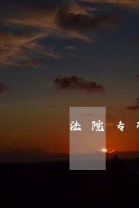 法院专项执行活动实施方案 法院专项执行活动实施方案