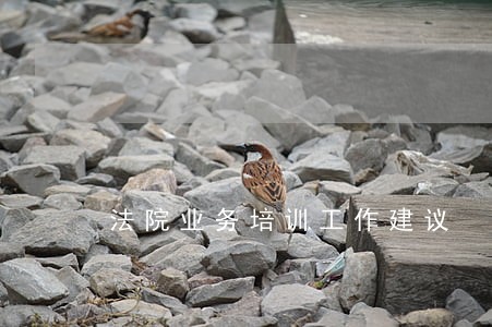 法院业务培训工作建议 法院业务培训工作建议