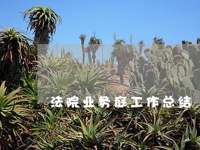 法院业务庭工作总结 法院业务庭工作总结