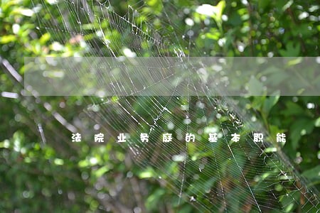 法院业务庭的基本职能
