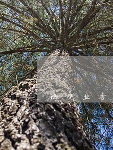 法院业务庭的工作怎么样 法院业务庭的工作怎么样