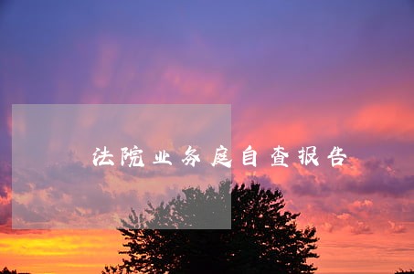 法院业务庭自查报告 法院业务庭自查报告