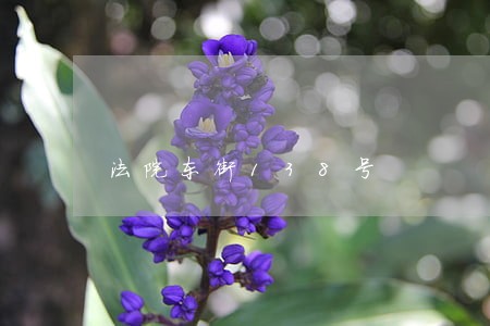 法院东街138号