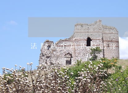 法院两个月还没出评估报告咋办 法院两个月还没出评估报告咋办