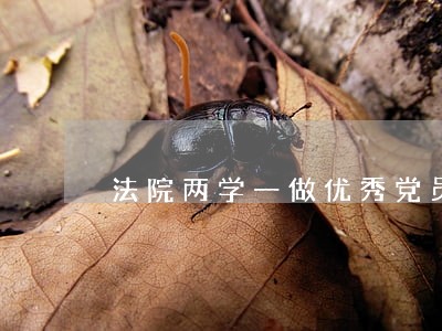 法院两学一做优秀党员事迹 法院两学一做优秀党员事迹