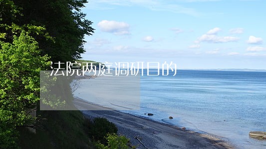 法院两庭调研目的 法院两庭调研目的