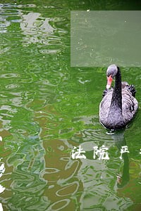 法院严打汇报 法院严打汇报