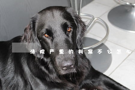 法院严重的判案不公怎么办 法院严重的判案不公怎么办