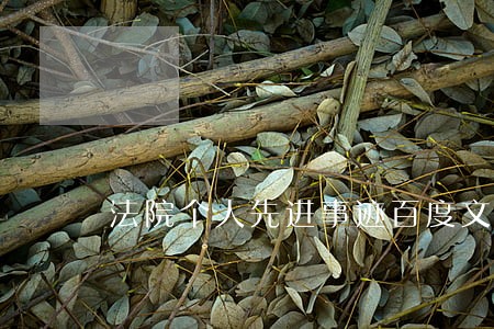 法院个人先进事迹百度文库 法院个人先进事迹百度文库