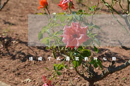 法院个人嘉奖有什么用