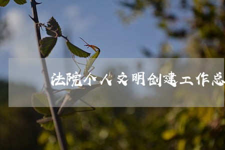 法院个人文明创建工作总结 法院个人文明创建工作总结