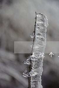 法院个人简历模板范文 法院个人简历模板范文