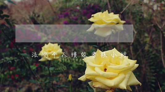 法院个人绩效考核小结 法院个人绩效考核小结