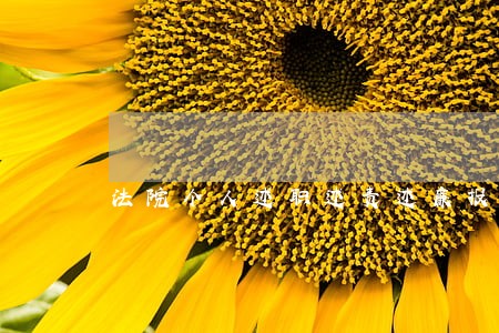 法院个人述职述责述廉报告