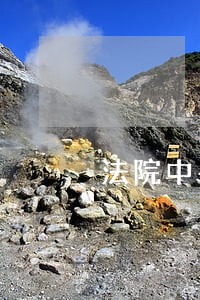 法院中午去 法院中午去