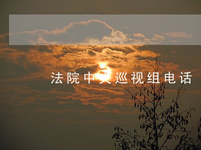 法院中央巡视组电话 法院中央巡视组电话