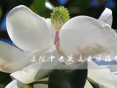 法院中央政法专项编制