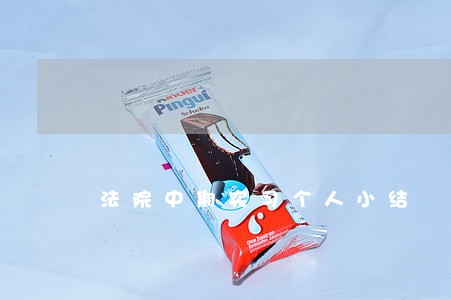 法院中期实习个人小结
