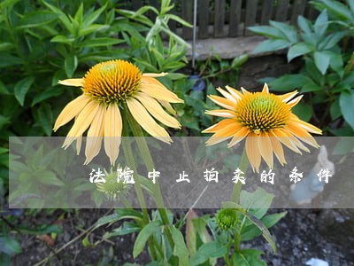 法院中止拍卖的条件 法院中止拍卖的条件