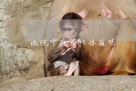 法院中途可以休庭吗 法院中途可以休庭吗
