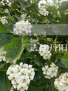 法院丹阳巨贸招聘 法院丹阳巨贸招聘