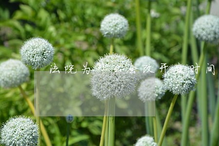 法院为什么会改开庭时间