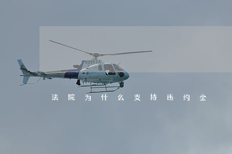法院为什么支持违约金 法院为什么支持违约金