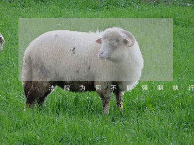 法院为何不能强制执行医保卡