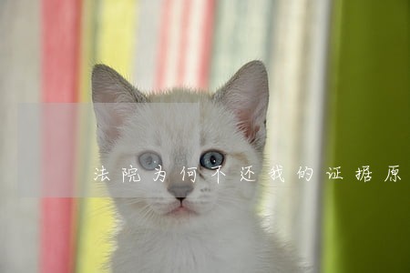 法院为何不还我的证据原件 法院为何不还我的证据原件