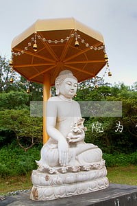 法院为何有权拍卖房产 法院为何有权拍卖房产