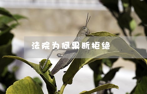 法院为何果断拒绝 法院为何果断拒绝