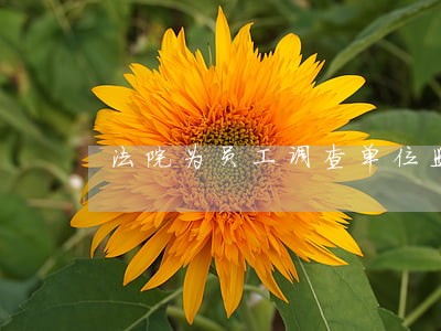法院为员工调查单位监控吗