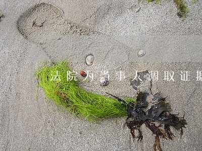 法院为当事人调取证据 法院为当事人调取证据