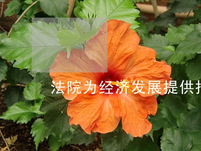 法院为经济发展提供措施