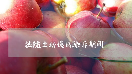 法院主动提出除斥期间 法院主动提出除斥期间