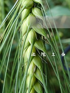 法院主合同无效担保合同 法院主合同无效担保合同