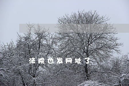 法院也发网址了