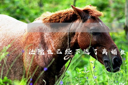 法院也已经下达了离婚生效证明 法院也已经下达了离婚生效证明