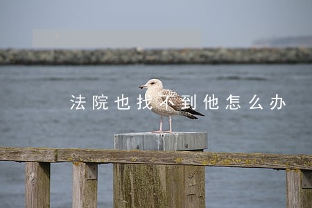 法院也找不到他怎么办 法院也找不到他怎么办
