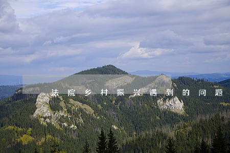 法院乡村振兴遇到的问题