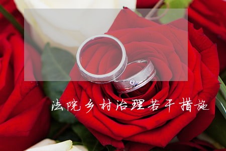 法院乡村治理若干措施 法院乡村治理若干措施