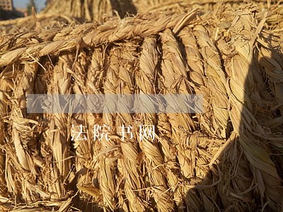 法院书网 法院书网