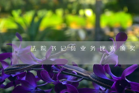法院书记员业务比赛颁奖讲话