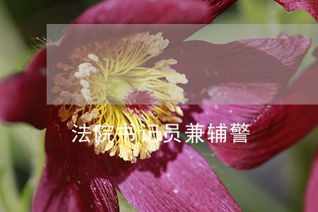 法院书记员兼辅警 法院书记员兼辅警