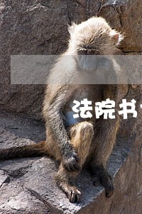 法院书记员发展前途